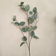 Glitter Eucalyptus Stem 1