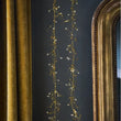 Gold Pearls | Annie Mo's