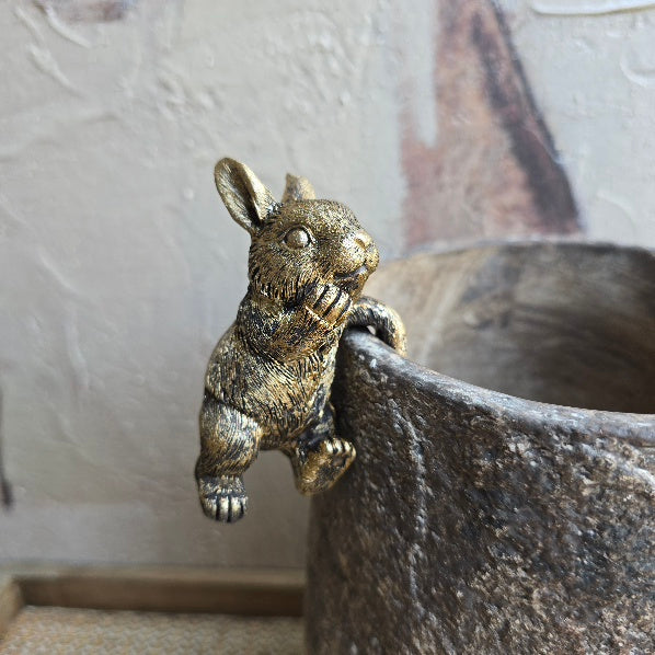 Golden Climbing Rabbit Pot Hanger