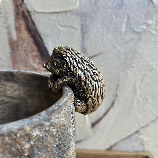 Golden Front Hedgehog Pot Hanger 1
