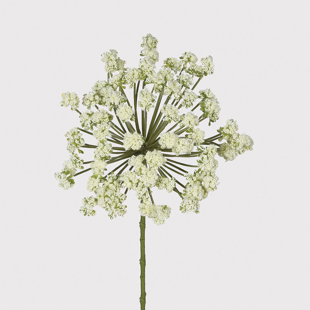 Green Angelica Spray 85cm | Annie Mo's
