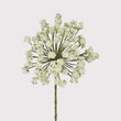 Green Angelica Spray