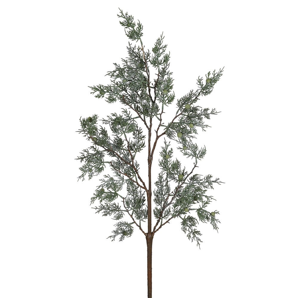 Green Cypress Stem 130cm | Annie Mo's