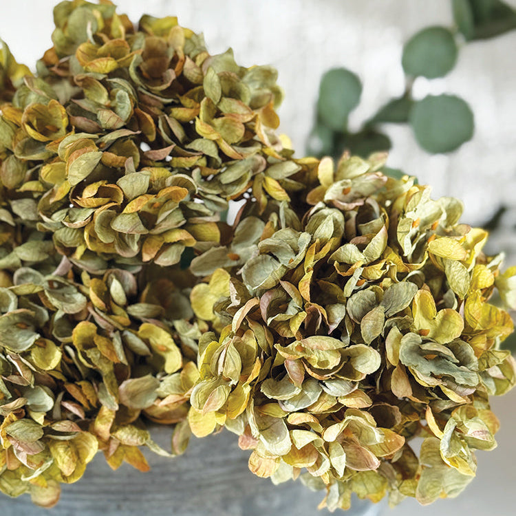 Green Hydrangea 67cm | Annie Mo's