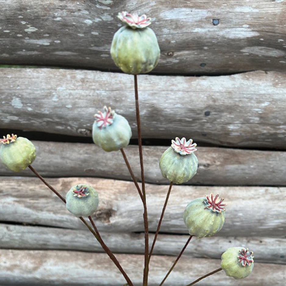 Green Papaver Stem 66cm | Annie Mo's