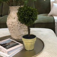 Green Miniature Boxwood Ball in Brown Pot