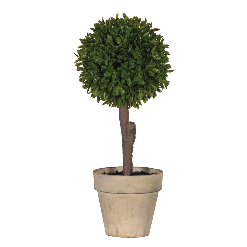 Green Miniature Boxwood Ball in Brown Pot-2