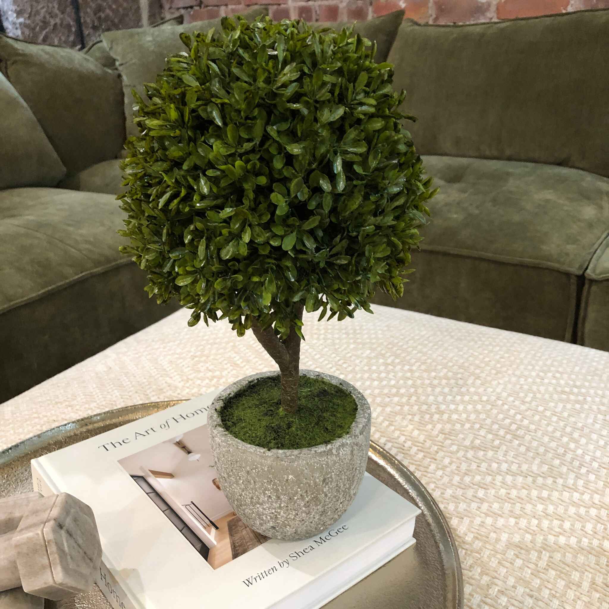 Green Miniature Boxwood Ball in Stone-Look Pot