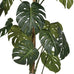 Green Monstera Tree in Black Plastic Pot 156cm D