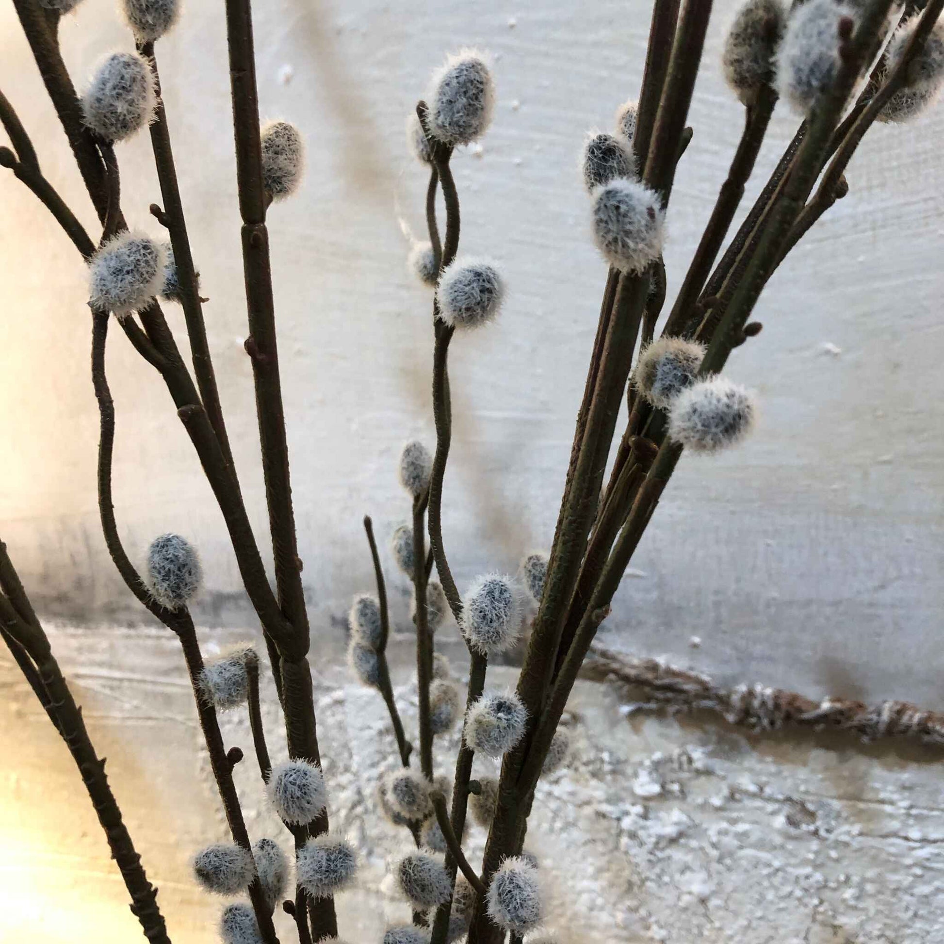 Grey Pussy Willow Spray with Leaves