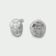 Halo Earrings Silver | Annie Mo's