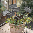 Highridge Playful Plant Signs | Annie Mo's