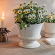 Hinton Planter - Size Choice | Annie Mo's