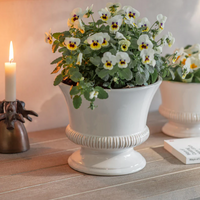 Hinton Planter - Size Choice | Annie Mo's