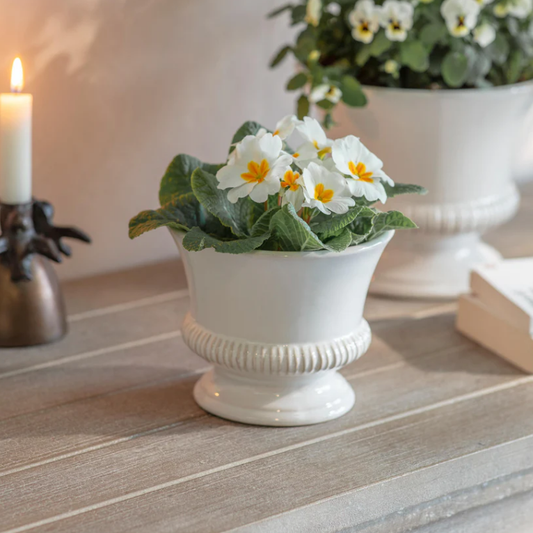 Hinton Planter - Size Choice | Annie Mo's B