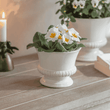 Hinton Planter - Size Choice | Annie Mo's B