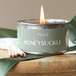Honeysuckle Paint Pot | Annie Mo's
