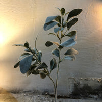 Natural Flocked Lamb's Ear Leaf Spray 72cm