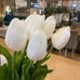 Set of Three Long Stem White Faux Tulips 65cm | Annie Mo's