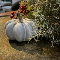 Decorative white pumpkin with greenery on a reflective surface