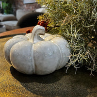 Decorative gray pumpkin on a table with greenery