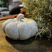 Decorative gray pumpkin on a table with greenery