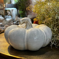 Decorative white pumpkin on a gold tray with plants in the background