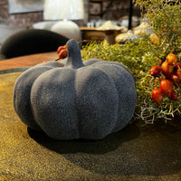 Decorative black pumpkin on a table with a blurred indoor setting