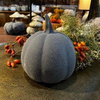 Decorative gray pumpkin with textured surface on a table with autumn decorations.