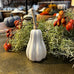 White decorative pumpkin with greenery and red berries on a table