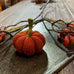 Knitted pumpkin decoration on a wooden surface with branches and berries.