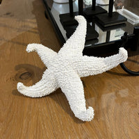 White starfish on a wooden surface with a mirror in the background
