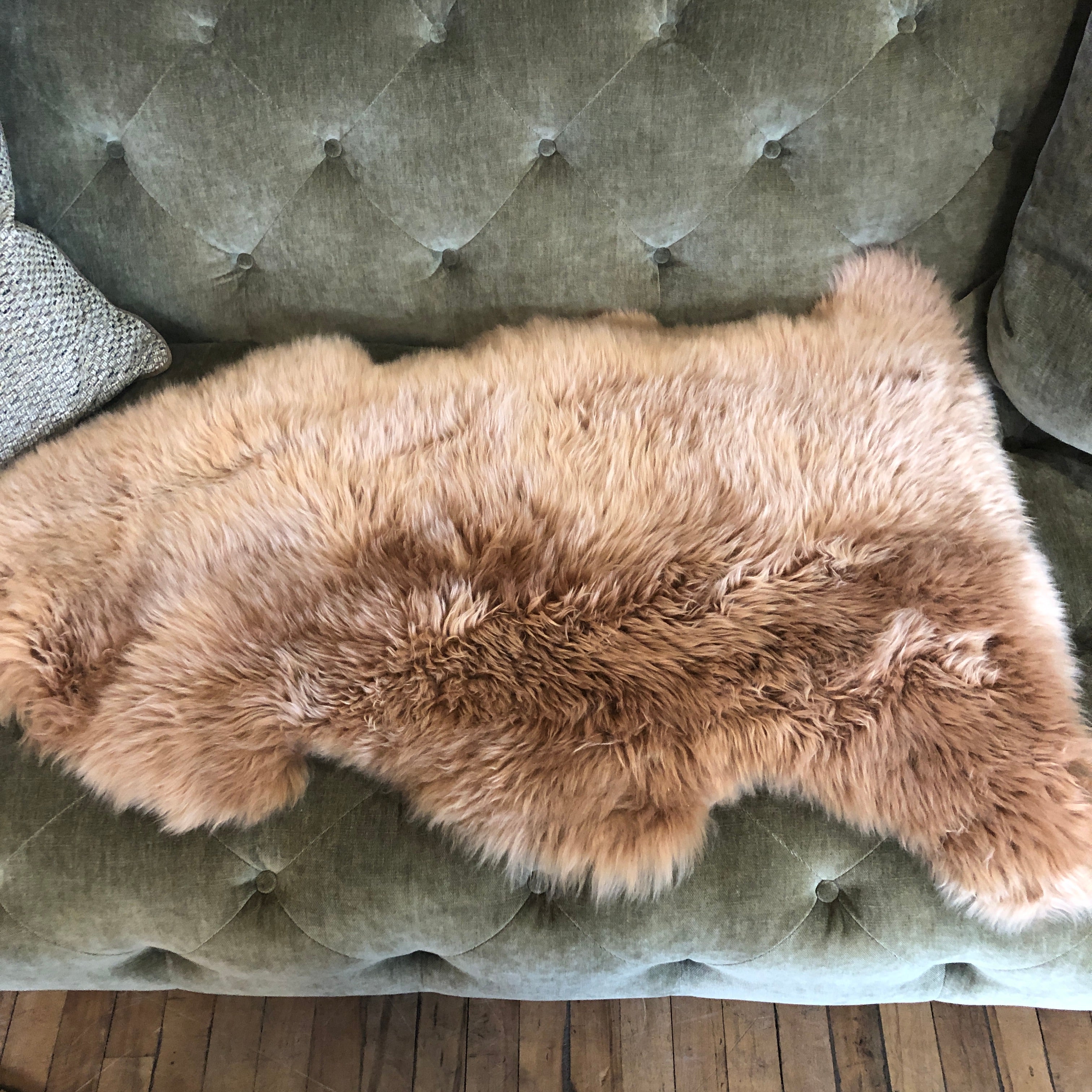 Sheepskin - Standard Size - Honey