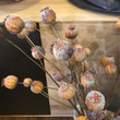 Brown Papaver Stem 66cm
