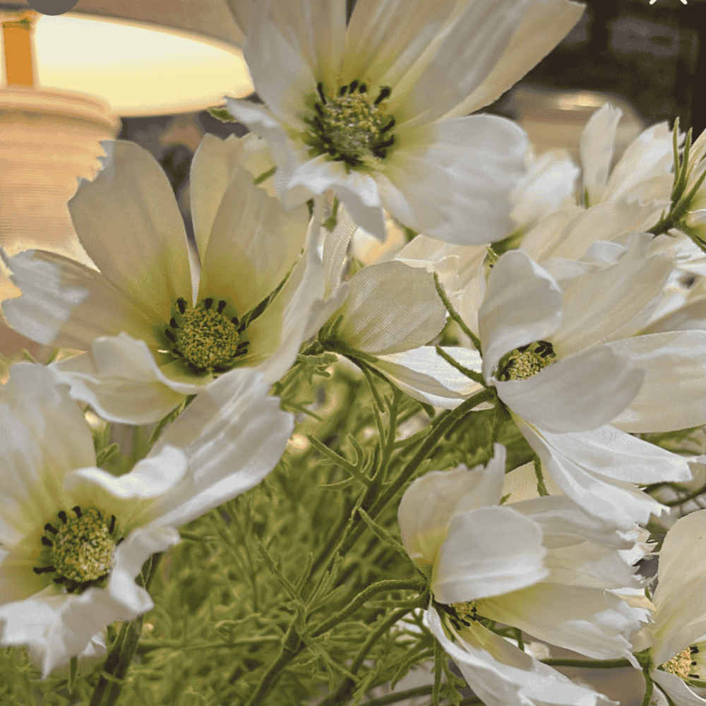 White Cosmos Spray 65cm