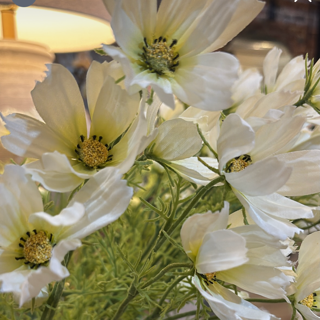 White Cosmos Spray 65cm