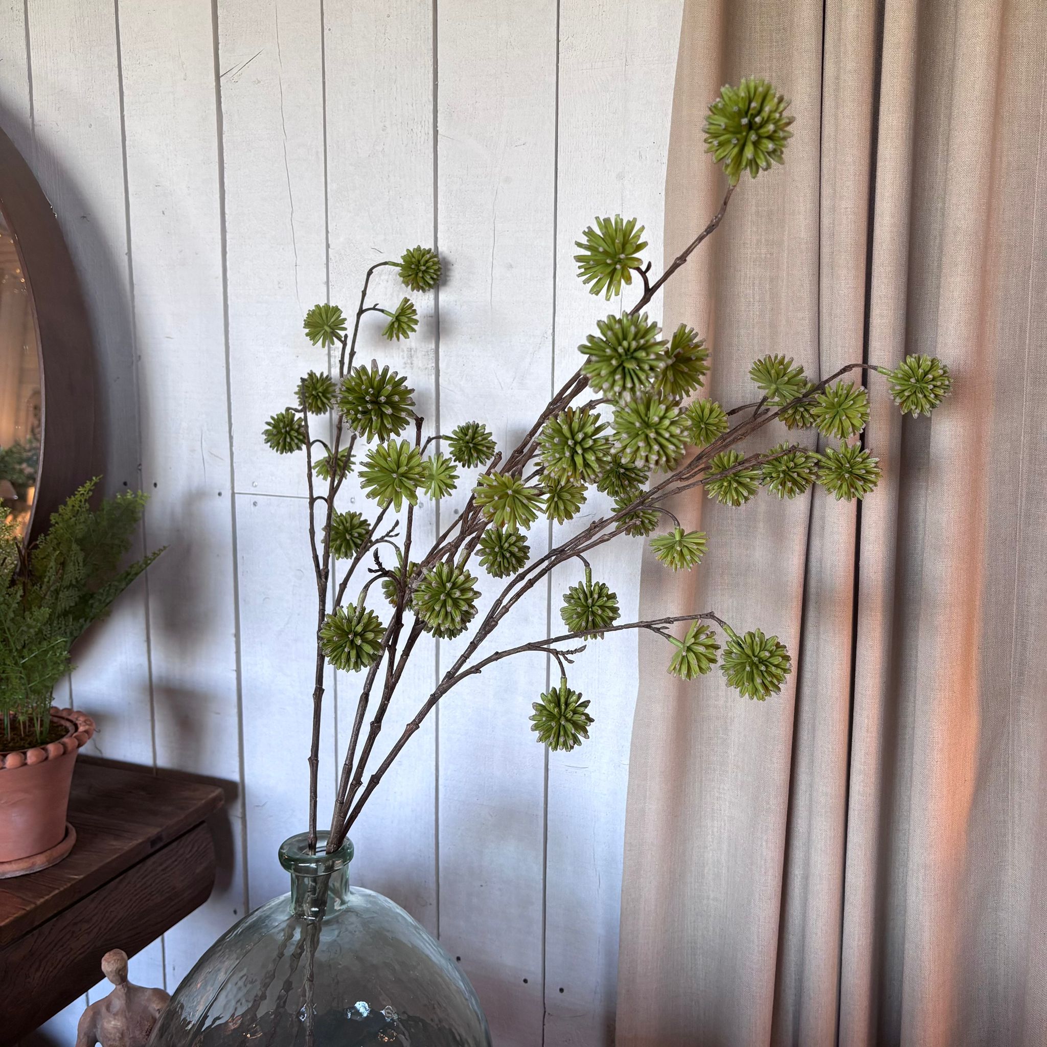 Green Camptotheca Stem 100cm