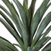 Yucca Plant in Black Plastic Pot 75cm