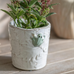Kersey Frog Planter 13cm B | Annie Mo's