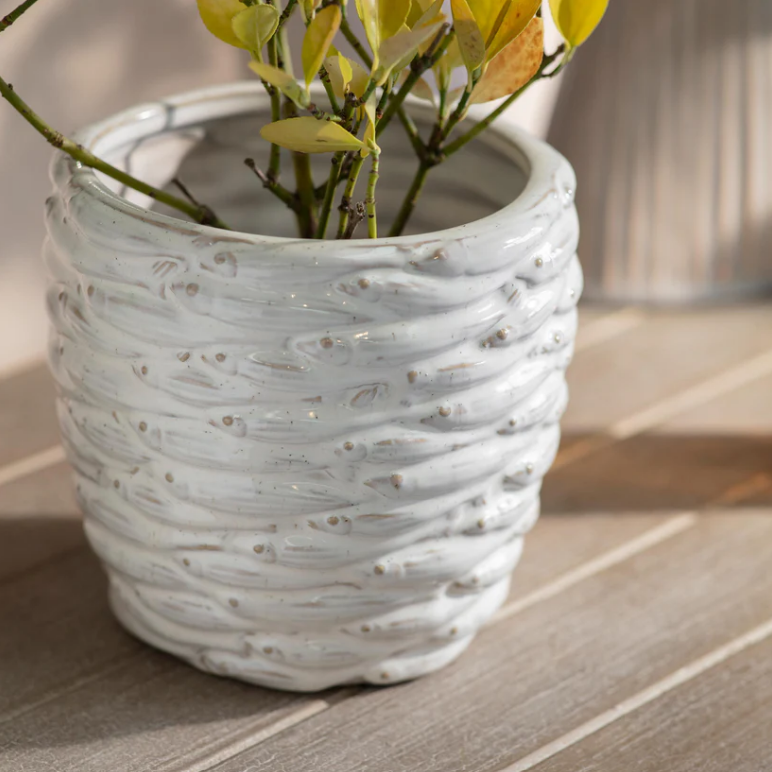 Kersey Vase Planter - Size Choice B | Annie Mo's
