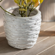 Kersey Vase Planter - Size Choice B | Annie Mo's