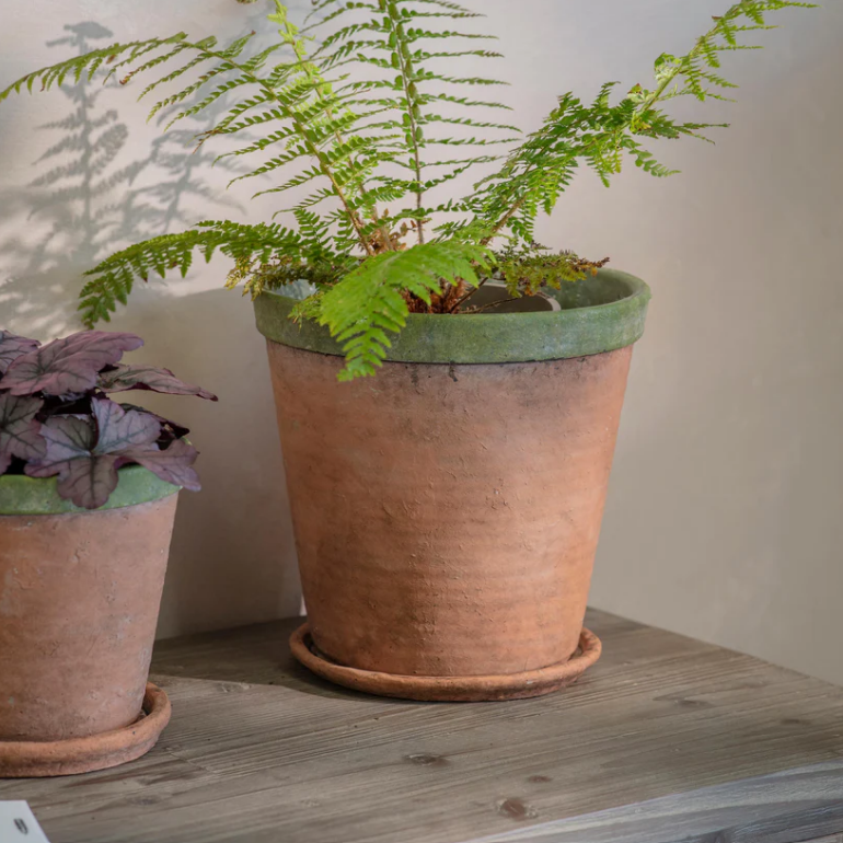 Kingsley Planter - Size Choice | Annie Mo's  Large