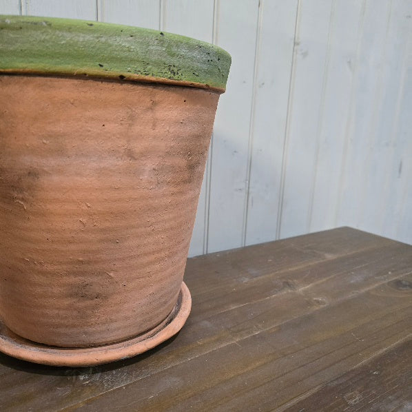 Kingsley Planter - Size Choice | Annie Mo's  Large D