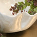 Large White Wavy Bowl 35cm B