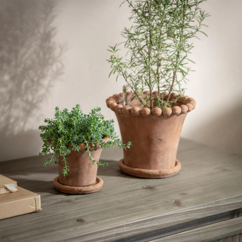 Layton Planter - Size Choice | Annie Mo's