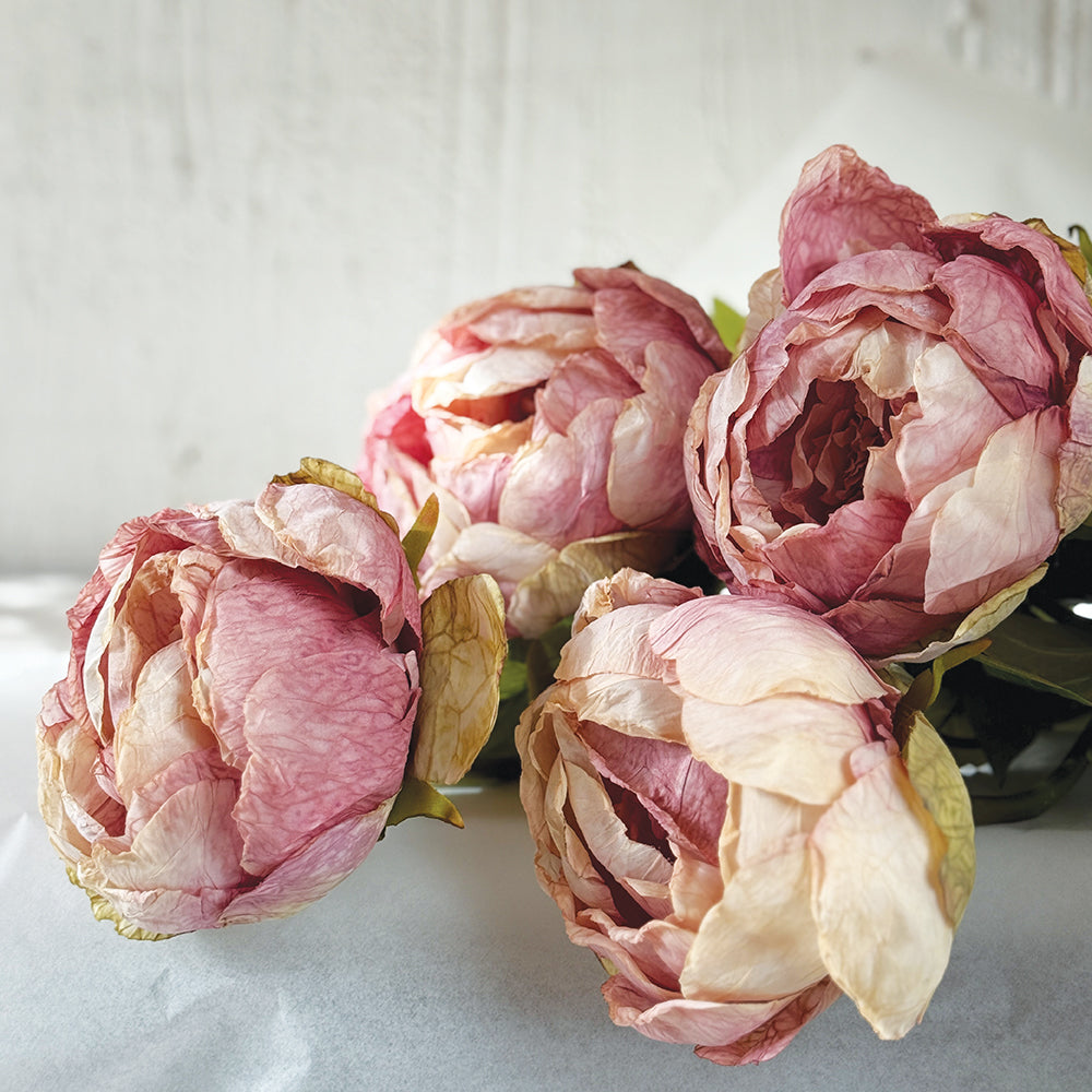 Light Pink Peony Stem 62cm