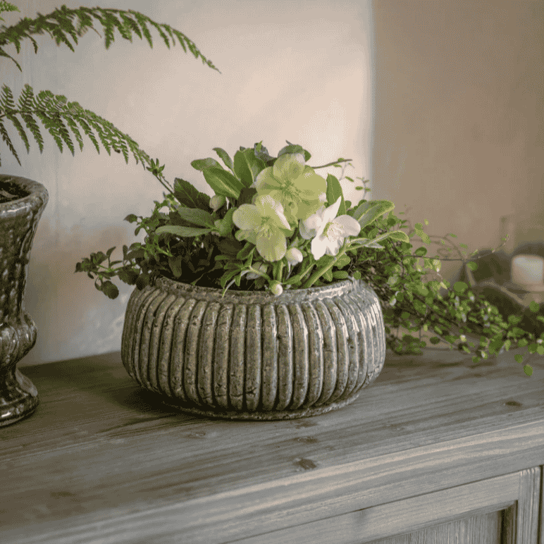 Lodsworth Ribbed Bowl 24cm | Annie Mo's