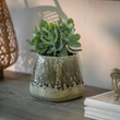 Lodsworth Tapered Pot | Annie Mo's