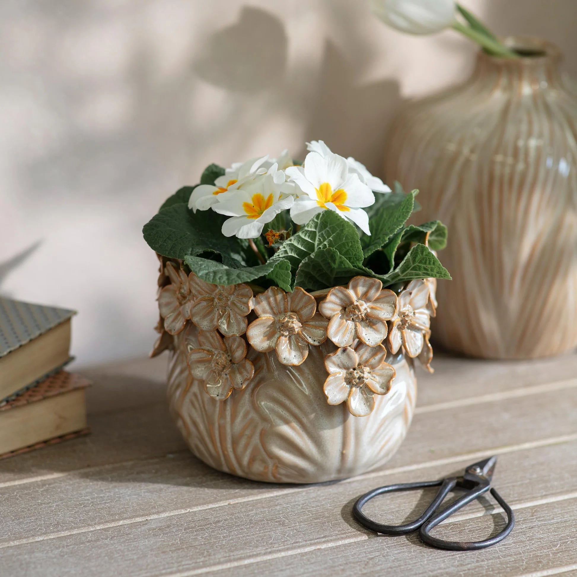 Lulworth Planter 17cm | Annie Mo's
