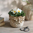 Lulworth Planter 17cm | Annie Mo's
